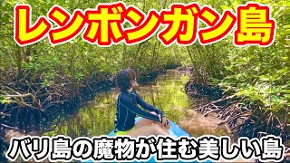 【人気急上昇中】バリ島から30分で行ける魅力満載な島のツアーに参加してみた❗️【レンボンガン島】