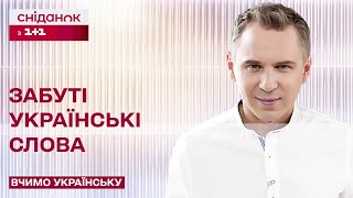 Либонь та Знічев'я: що означають ці забуті українські слова? – Вчимо українську