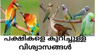 പക്ഷികളെ കുറിച്ചുള്ള വിശ്വാസങ്ങൾ 🐓🦚🦆🦅🕊️🦜🦜