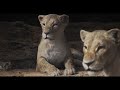 Circle of life Nants' Ingonyama (Music Video) From The Lion King 2019
