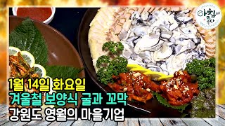 겨울철 보양식 굴과 꼬막 그리고 강원도 영월의 마을기업! | 아침이 좋다 | 01월 14일