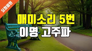 [요청음원] 매미소리 5번 - 이명 완화 차폐음, 이명 마스킹 사운드