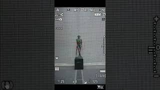 Nikon Z9 : Subject detection : Auto : Statue