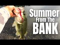 SUMMERTIME Bass Fishing FROM THE BANK (3 Lures You NEED)