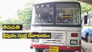 Tirupati To Vellore Golden Temple Bus, తిరుపతి నుండి వేలూర్ స్వర్ణ దేవాలయం వెల్లే బస్ ల సమాచారం