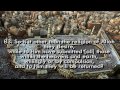 Surah Ali-Imran (3) || Chapter Family of Imran || Mishary Rashid Al-Afasy || Full Version || English