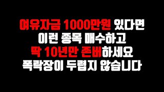 여유자금 1000만원 있다면 이런 종목 매수하고 딱 10년만 존버하세요. 폭락장이 두렵지 않습니다.