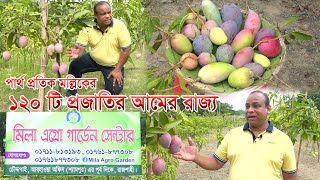 পার্থ প্রতিক মল্লিকের ১২০ প্রজাতির আমের রাজ্য | Mango Garden | Aam Bagan | Amader Krishi |