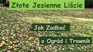 🍀 Złote Jesienne Liście. Jak Zadbać o Ogród i Trawnik jesienią.