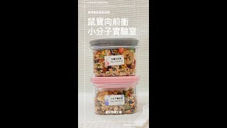 臺灣超人氣倉鼠特調！小分子實驗室與鼠寶向前衝開箱｜臺灣倉鼠用品開箱