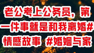 老公考上公务员，第一件事就是和我离婚#情感故事 #婚姻与家庭