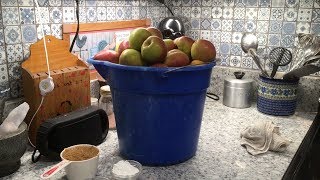 Pear Pie Filling Recipe