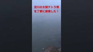 淀川バス釣りポイント！！太間テトラ帯を丁寧に探索してみた。#shorts #fishing#淀川