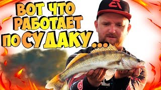 Ловля СУДАКА на озере на ДЖИГ! Особенности ловли, приманки, проводки!