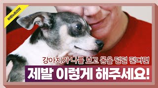 [펫공감57]강아지가 나를 보고 몸을 덜덜 떤다면 제발 이렇게 해주세요 | 강아지 몸떠는 이유 | 강아지 몸떨림