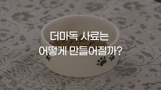 더마독 사료, 어떻게 만들까요?