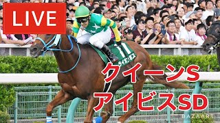 【競馬中継】『 アイビスSD , クイーンS 』 ～  ★予想バトル開催中★