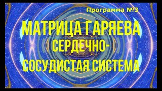 Матрица Гаряева.  Сердечно сосудистая система