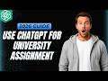 How To Use ChatGPT For University Assignment [2026 Full Guide]