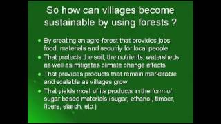 Sustainability Starts at the Village Level:  Willie Smits at TEDxMidwest