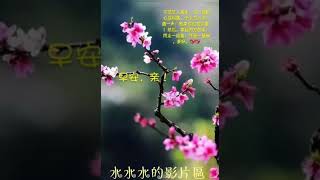 寶貝好友👫週末美好❤ 歌曲【親愛的我不能沒有你】