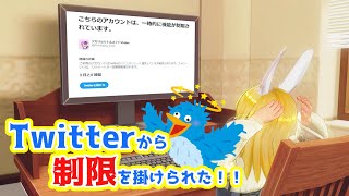 【いいね、RT、フォローができない！】Twitterに制限が掛けられたお話【TwitterAPIの使いすぎ？】