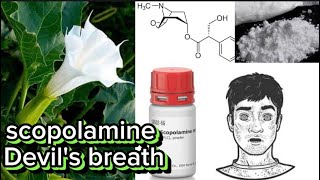 Devil's Breath world’s Scariest drug ॥স্কোপোলমিন॥#শয়তানের_নিঃশ্বাস