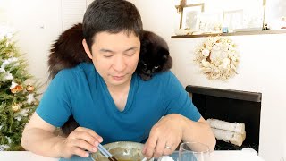 【しゃべる猫】飼い主が何を食べているのか気になりすぎて肩に乗ってチェックする猫【かわいい】