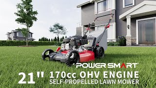 PowerSmart 21 \