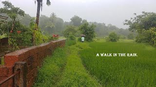 Konkan Vlog Village Diaries | Jambhavade Taluka Kudal | Part 3 |  Village Rain Walk