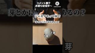 (#植物 )ジャガイモって何で芽とかにだけ毒があるの？#生物 #理科 #雑学 #shorts #short