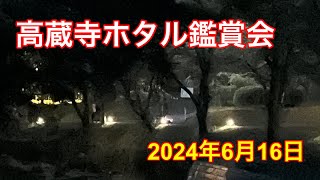 高蔵寺ホタル鑑賞会2024