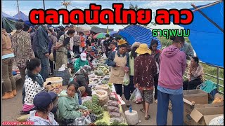 ไข่มดแดง อาหารป่า ตลาดนัดไทยลาว 24  กพ  68 #ตลาดนัดไทยลาว #ธาตุพนม