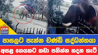 අකුරු කරන්නද කොහෙද පාසලට ආ සද්ධන්තයා...?