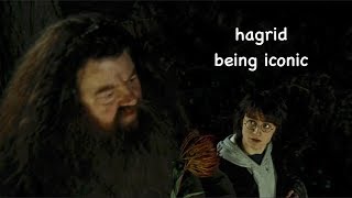 rubeus hagrid being iconic