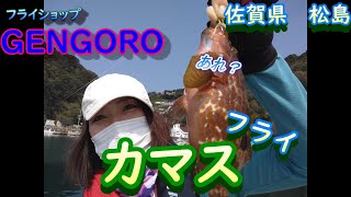 【フライフィッシング】カマスをフライで釣りたい！GENGOROショップツアー