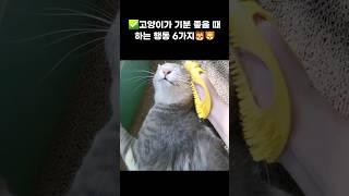 고양이가 기분 좋을 때 하는 행동 6가지! #catshorts #shorts #고양이