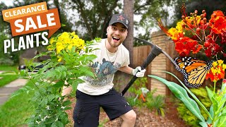 CLEARANCE Plant Shopping & GARDEN Makeover!! Native Plants for Zone 9 Houston, Texas!