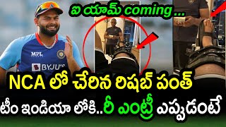 Important Update On Rishabh Pant Re Entry To Team India|Team India 2023|Latest Cricket News