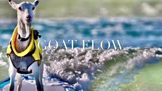 Tez King-Goat Flow (Dedicate gmix)