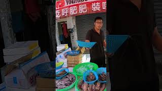 美女真闊氣 貴森森的海大蝦直接四份全包 帥弟弟被嚇了一大跳 / Low-priced seafood auction master