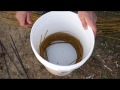 primitive basket weaving harvesting and preparing willow