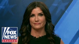 'Nobody believes this, except their base:' Dana Loesch