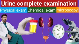 Urine C/E || procedure || chemical || physical || microscopy #viralvideo #youtube #viral