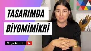 BİYOMİMİKRİ Nedir? BİLMEYEN TASARIMCI OLUR MU?