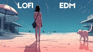 LOFI EDM| Stop Over Thinking| Relaxing EDM Beats for Studying and Sleeping
