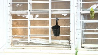 ‘I feel like I cannot move forward’: Woman lives with damage months after nearby GBI raid | WSB-TV