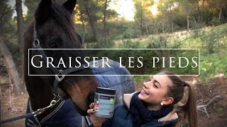 CURER ET GRAISSER LES PIEDS DE SON CHEVAL 👣