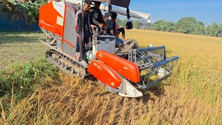 Harvester Kubota DC-68g Harves King Pro | Kubota King Pro | Best Harvester in India | No .1 Engine