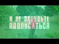 ЭТО ДЕРЕВО ДОЛЖНО БЫТЬ В КАЖДОМ САДУ Спаситель всего сада. Просто посадите это дерево где то с краю